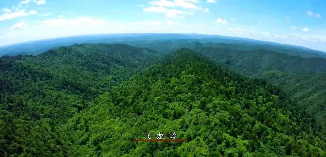 今年五一四天假不知道怎么玩?西安周边自驾游