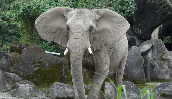 千万别做保育员