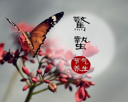 惊蛰，二十四节气中的第三个节气，惊蛰吃梨有讲究