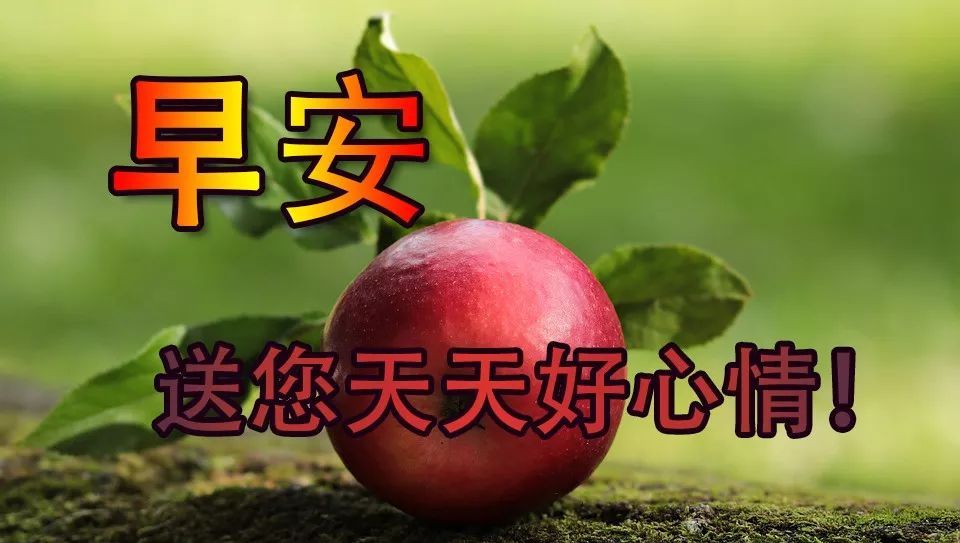 周六清晨祝福语漂亮表情表情动态,早安v表情祝吴亦凡图片包表白图片