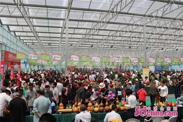 2018中国(昌乐)西瓜节今日开幕 亮点纷呈