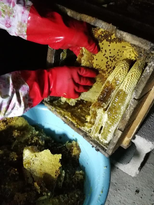 目前农村振兴,有什么好项目可以操作