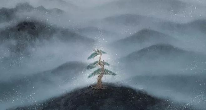 喟叹人口_人口普查图片(2)