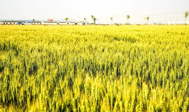 农业在科技的发展