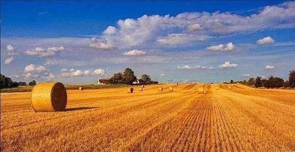 为什么说"中国农民丰收节"非常必要!_【快资讯】