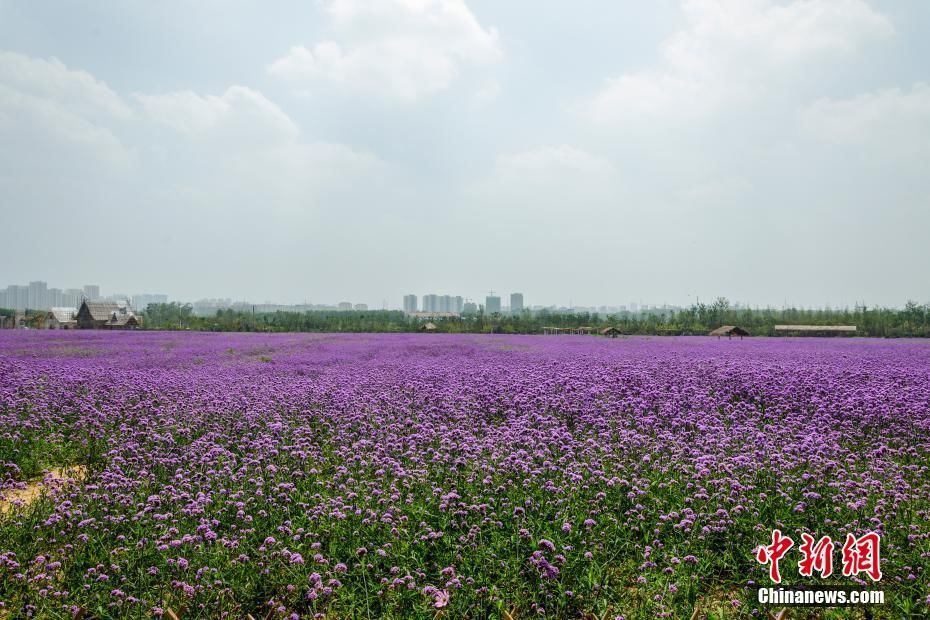 山东青岛风景美如画