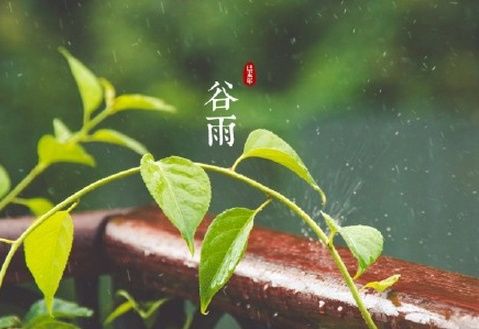 谷雨节气图片无水印2018最新 你心情劳作了吗