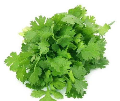 香菜与它相克,若一起吃,或许滋生癌细胞,不