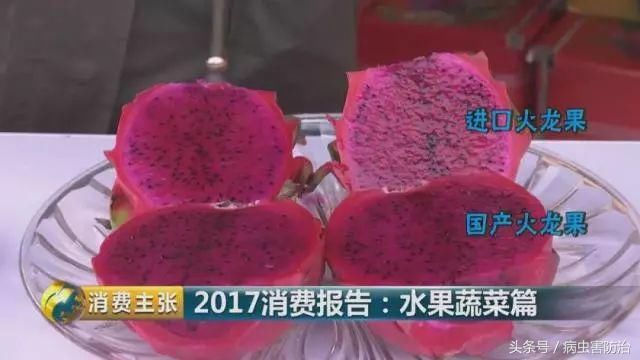 2017全国销量增长快的五类水果!火龙果榜上有