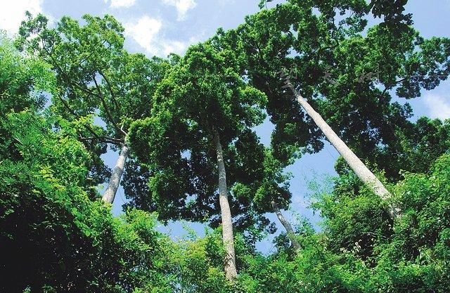 7天6晚，玩转傣历新年泼水盛会