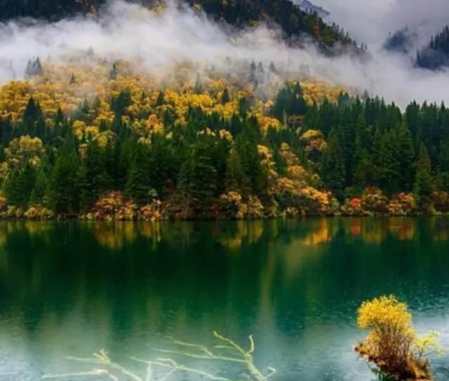 中国国内藏着不少旅游之地:四川九寨沟,贵州六