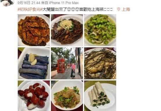 曾被骗钱骗感情，宁和85岁老父亲相依，54岁陈法蓉如今仍单身