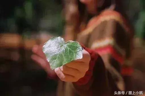 什么是理解？