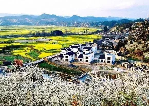 贵州最美古村,选一个隐居吧!