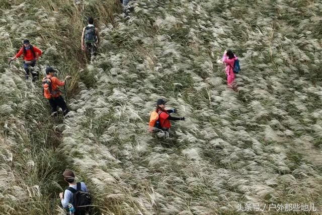 河南驻马店泌阳县春水镇陈庄一一侯寨山