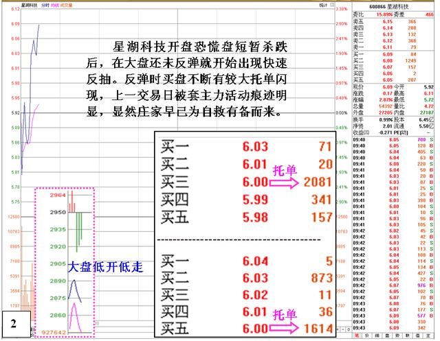 中国股市真正“失控”原因大公开：谁来保护弱小的中小投资者？