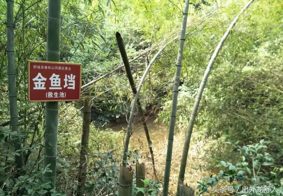 安徽舒城:影像志|四大名山之首春秋山 秦代儒生护典籍得名?