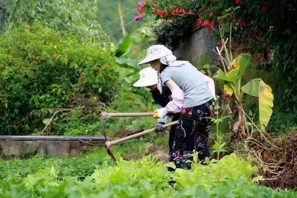 1欧元卖房，为农村抢人，中国为何却严禁城里人下乡买地盖房？