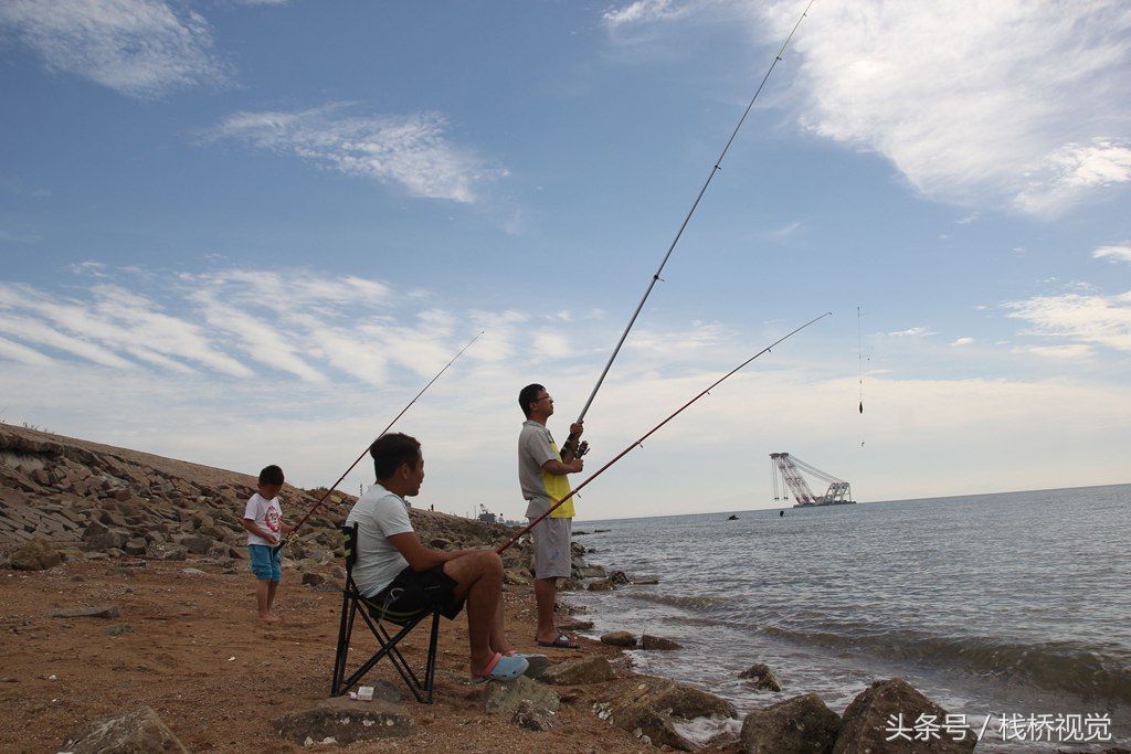 青岛胶州湾小螃蟹泛滥，赶海能抓好几百只回家油炸下酒爽歪歪