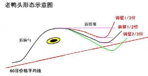 一位股市奇才总结最精辟的选股公式，两亿散户终于有救了!附源码!