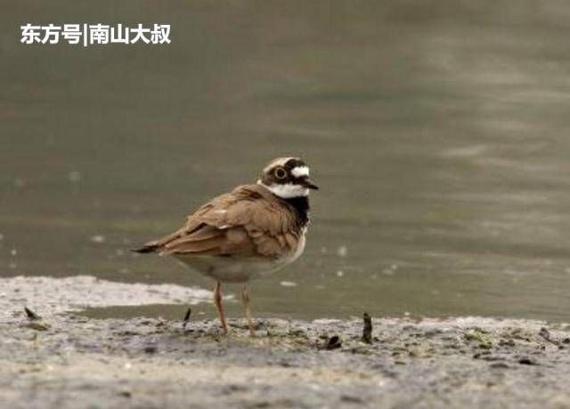 大年初一，我给了自己三个大嘴巴