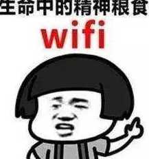 农村爷爷装WiFi想让孙子过年在家多待几天 却