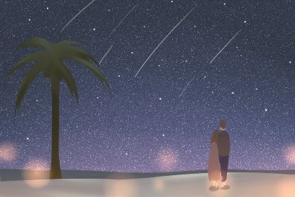 流星几月几日