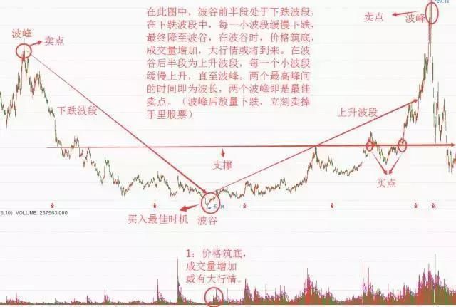 中国股市深夜发出的“怒吼”，到底是谁在欺骗散户的血汗钱？