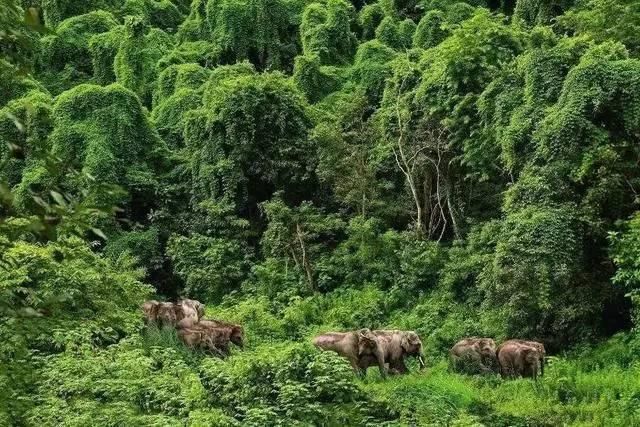 盘点中国最美景点! 总有你想去的!