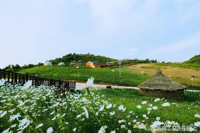 汉中这个地方有最壮美的高山草坝，你来过吗？