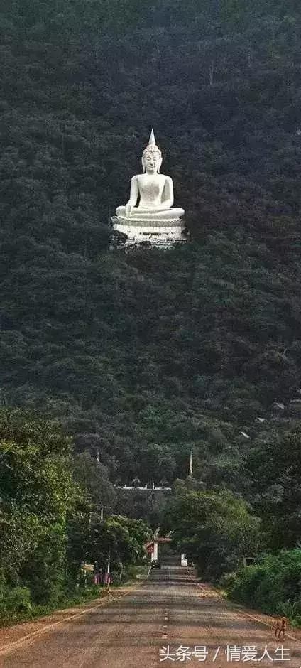 苍蝇飞不进闭着的嘴里！哪位高人写的，句句大智慧