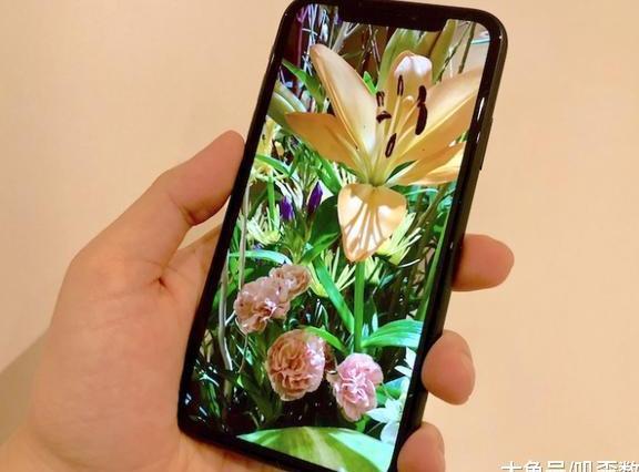 从iPhone7plus换成iPhoneXR, 说说真实的用户