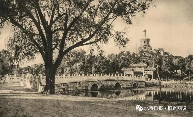 他为北京拍下66张美图，却死在日军集中营