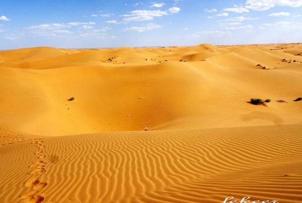 荒漠也不是荒漠了