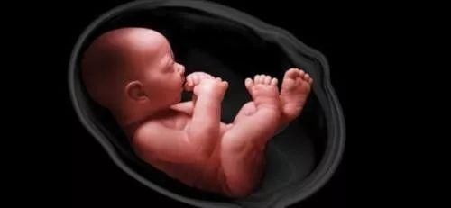 清华实现25个量子接口间的量子纠缠;北京雾霾