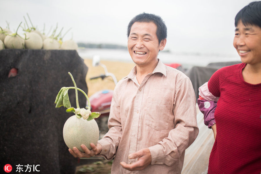 他专注于种植奢侈水果年售五千万 让成百上千农民脱贫致富