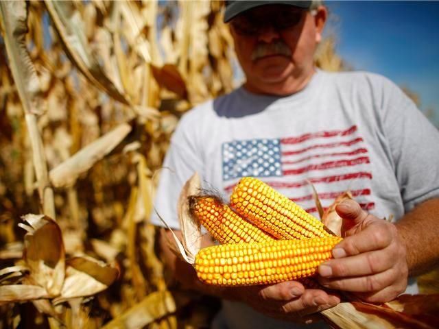 美国麻烦了，中国进口乌克兰非转基因玉米，取消美国70万吨订单