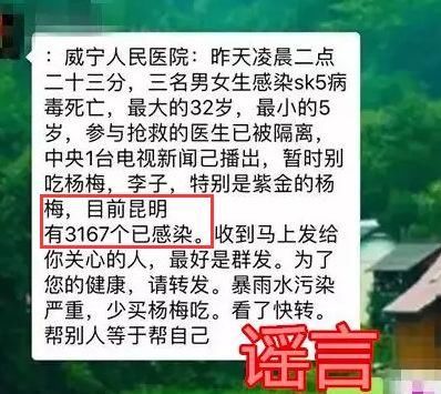 网警辟谣网传又有人感染SK5病毒死亡？杨梅、李子都不能吃？