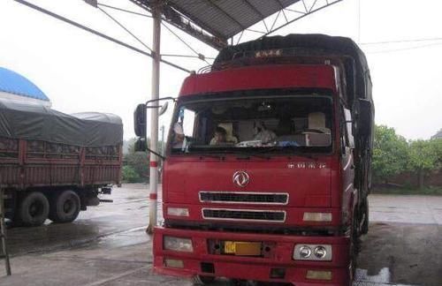 知道车牌号查询车主