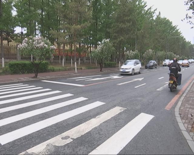 斑马线前:行人被礼让很暖心 司机礼让却遇扎心