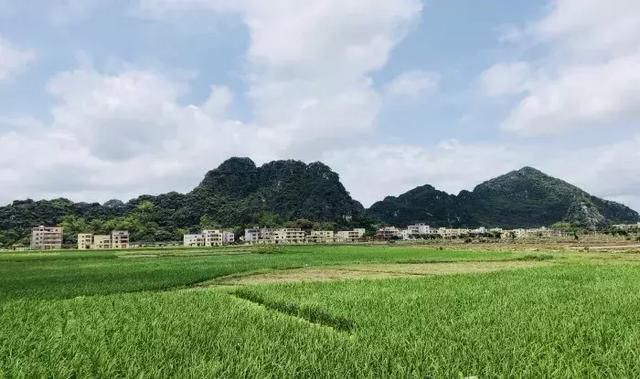 美美美美!广东罗定深藏着一个“世外桃源”般的田园~