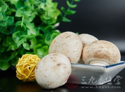 海参一周吃几个最佳 吃海参要注意什么