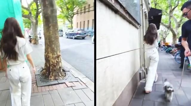 人气不再？Angelababy重走童年路，偶遇路人却无人认识