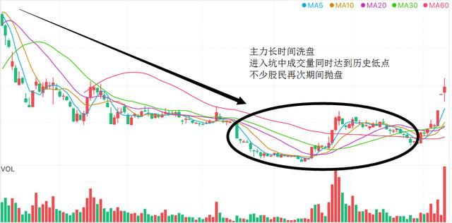 中国股市大血洗“背后阴谋”被戳穿，披着牛皮的熊，终于现形！