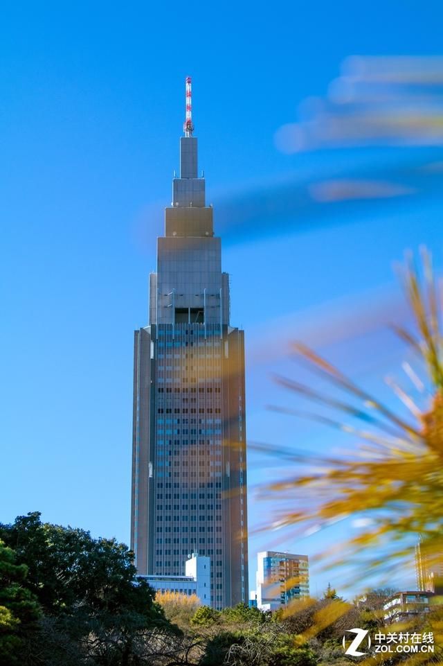 大C游世界 秋季旅拍日本东京的红叶街景