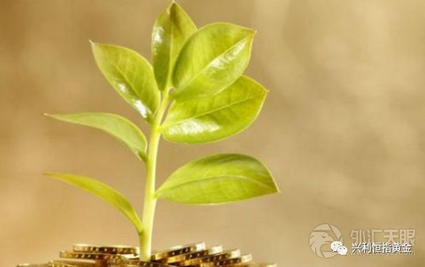 【兴利恒指黄金】恒指期货市场长期稳定的盈利