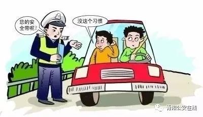 即日起青阳境内开车乘车不系安全带将被罚