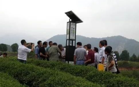 收藏:中药材地下害虫的综合防治