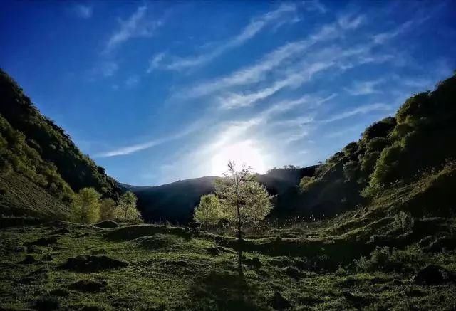 最美季节的最美风景-新疆伊犁
