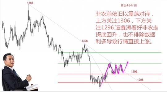 谭鑫涛：非农提前布局，6.1黄金探底回升或直接开涨，一个字多